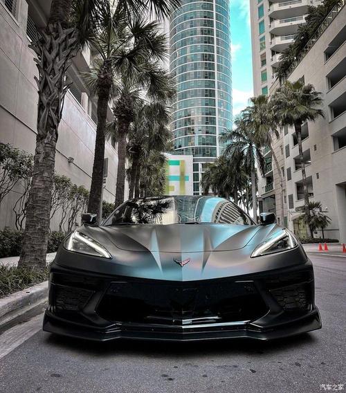 一枚黑酷的神车c8,很帅.