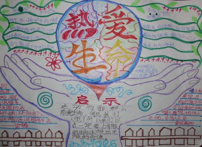 生命之美手抄报图片