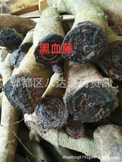新鲜鸡血藤大血藤黑血藤砍砍药大山根子药产地货源跑江湖地摊资源