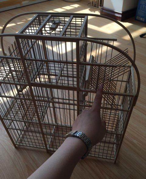 老父亲喜欢鸟,纯手工在家里自己做的鸟笼,这个是滚笼,做工特别精细