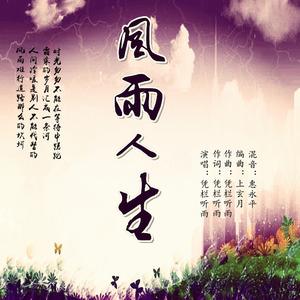 风雨人生