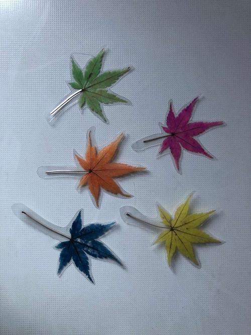 我们采摘了树叶,制作了精美的叶脉书签.