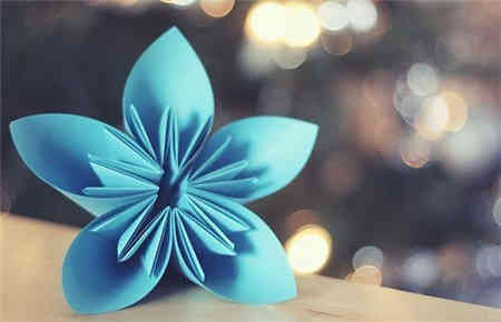 手工制作大全:装饰纸花制作