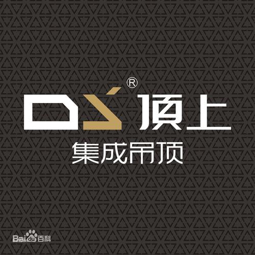 中外合资浙江顶上电器有限公司