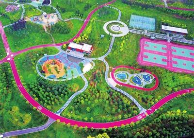 多彩图案扮靓文博体育公园 --洛阳日报--洛阳晚报--省