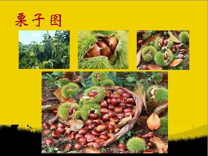 6音乐栗子大丰收_图文攻略_全通关攻略_高分攻略_百度