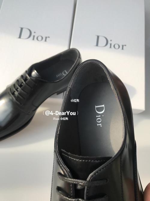 dior迪奥男士皮鞋 | 天啊这也太质感了吧_迪奥怎么样