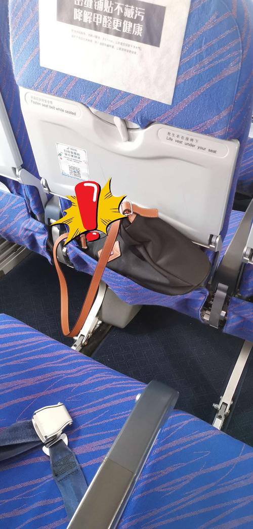 写美篇        确认旅客系好安全带,收直椅得,收好小桌板,脚踏板,旅客