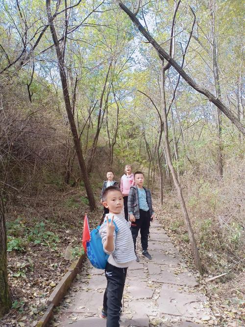 美丽的发鸠山