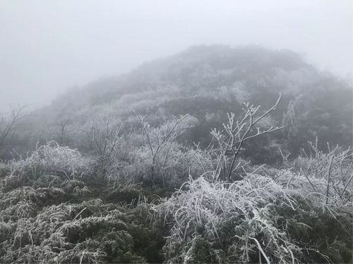 最新一波齐岳山的雪景奇观错过也许明年才能再见了