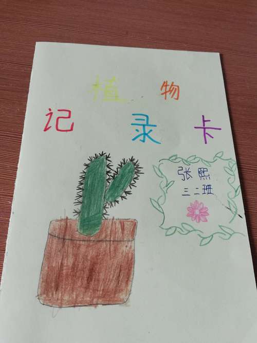 三二班的植物记录卡