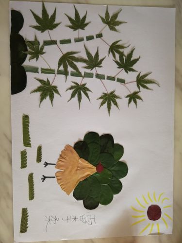瞧瞧我制作的树叶贴画