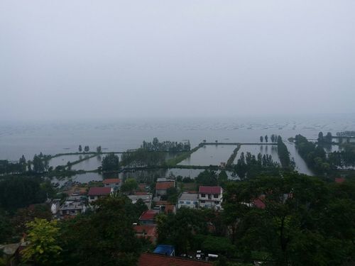 山东省济宁市微山县两城镇独西天气预报