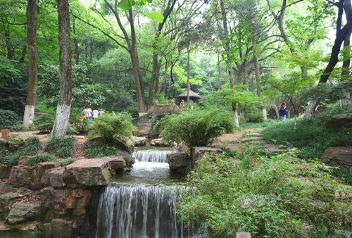 又见"初见香草园","常来常熟"去虞山,周末张家港,常熟