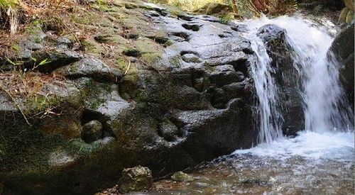 永康虎踞峡门票