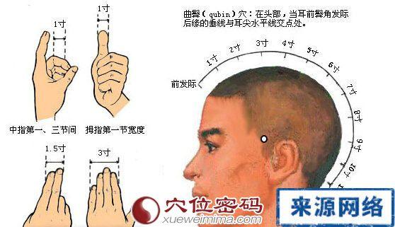 曲鬓穴的准确位置图_曲鬓穴的作用_胆经_穴位密码网