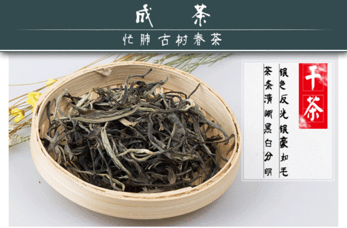 【辉小四茶叶】临沧茶区忙肺野生古树手工普