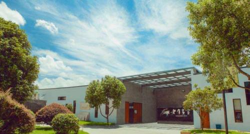 杭州老鹰画室展翅高飞迎接未来