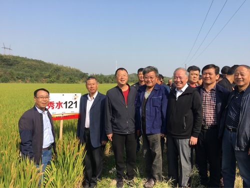秀水121(全面替代嘉花1号的粳稻新品种)