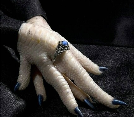 这鸡爪子比我的手爪子好看多了,我是活得有多粗糙.