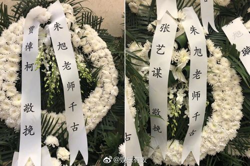 张艺谋贾樟柯等送花圈吊唁朱旭 李雪健所送挽联令人动