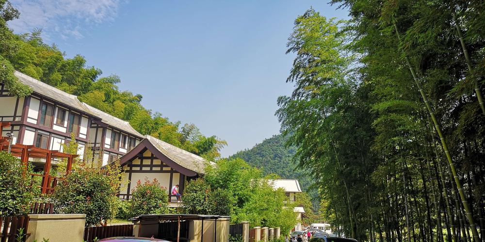 湖南津市药山寺 竹林禅院