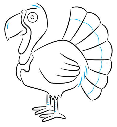 可爱小动物简笔画图片大全 一步一步教你画火鸡简笔画