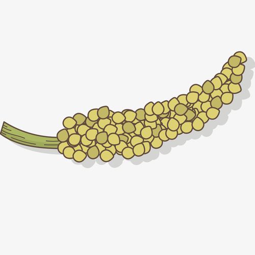 卡通黄绿色小米穗矢量