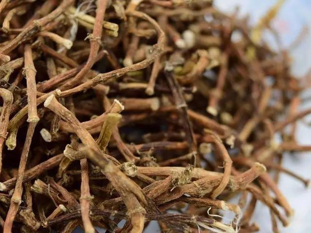 一,干鱼腥草的作用与功效