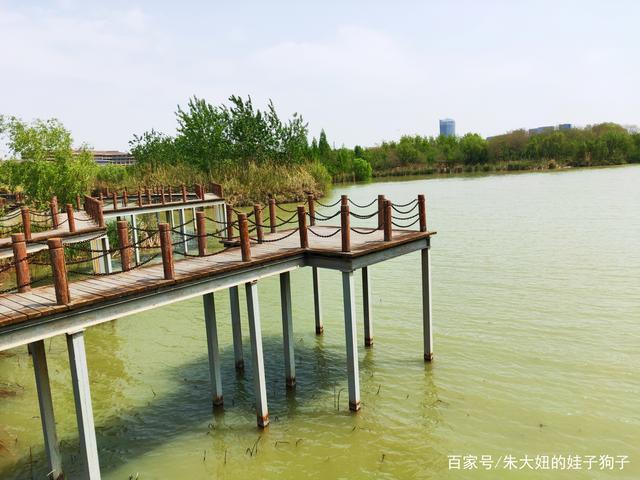 阳光下的徐州大龙湖