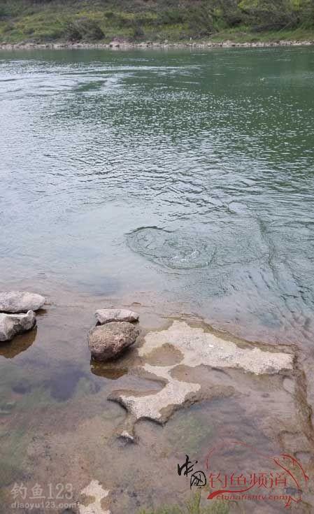 夏季南川大溪河盘车溪流钓法狂钓大鲫鱼
