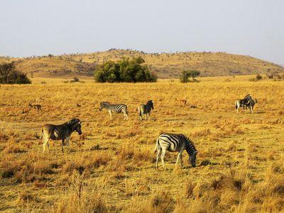 南非国家动物园