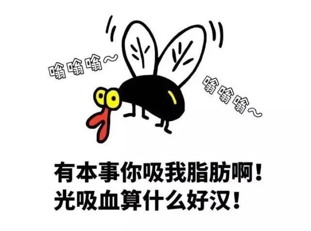 为啥蚊子独宠你?可不止血型那么简单