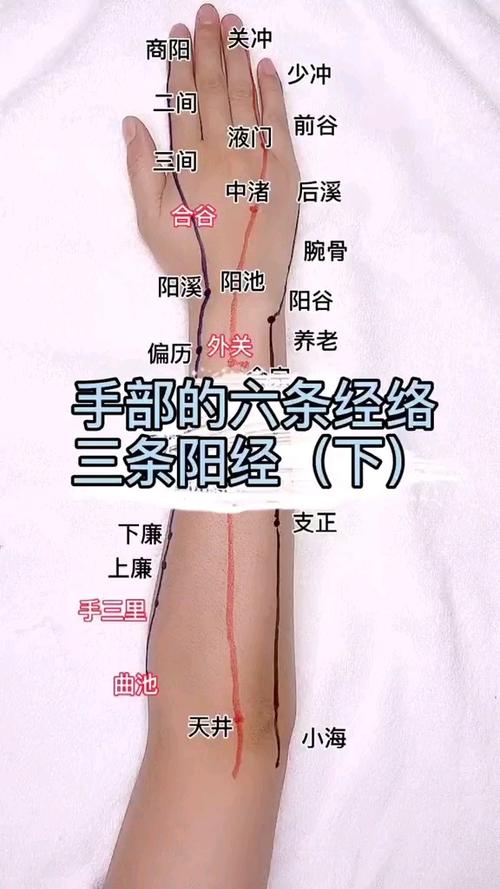 手上经络详解_健康养生_医疗健康_医疗方法