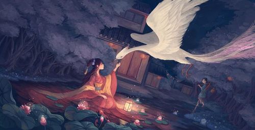 飞鸟与鱼-楠凤夕tut