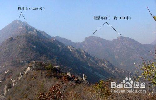 猫耳山连泉漫步指南