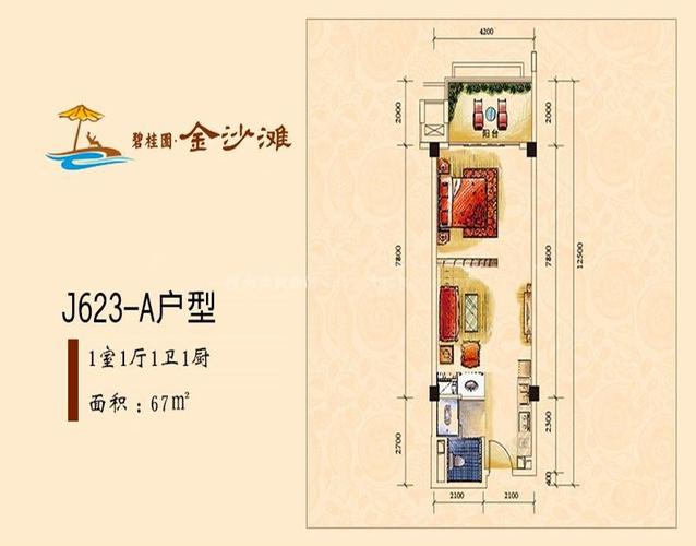 碧桂园金沙滩j623-a户型 1室1厅1卫1厨 67㎡
