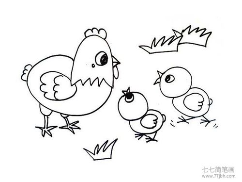 母鸡简笔画