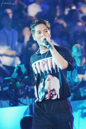 王嘉尔:kpl王者荣耀职业联赛冠军杯总决赛