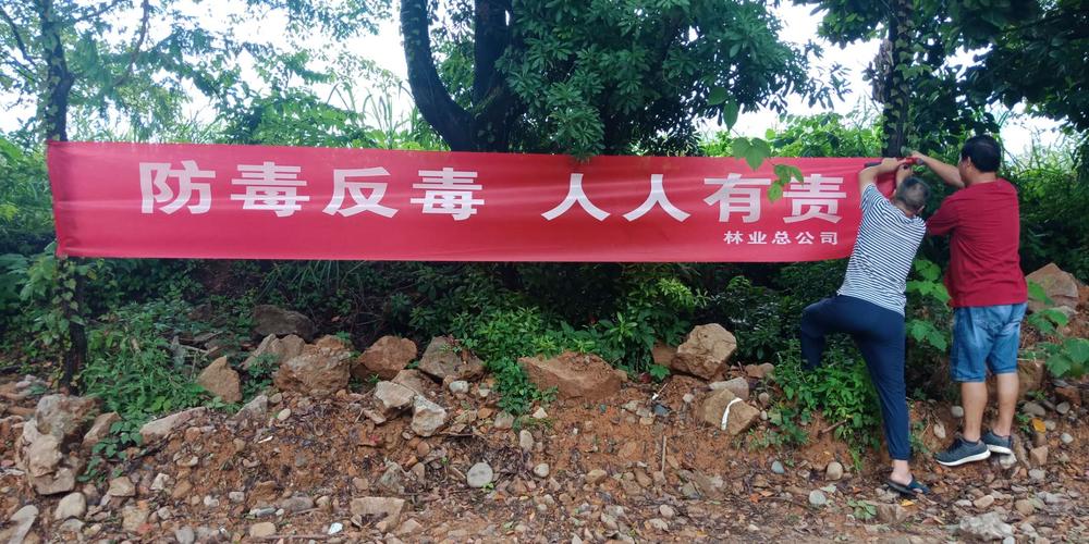 市林业总公司积极开展禁毒宣传月活动