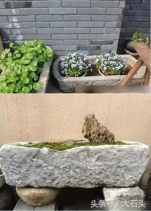 老石槽鱼池这样造景,别有感觉