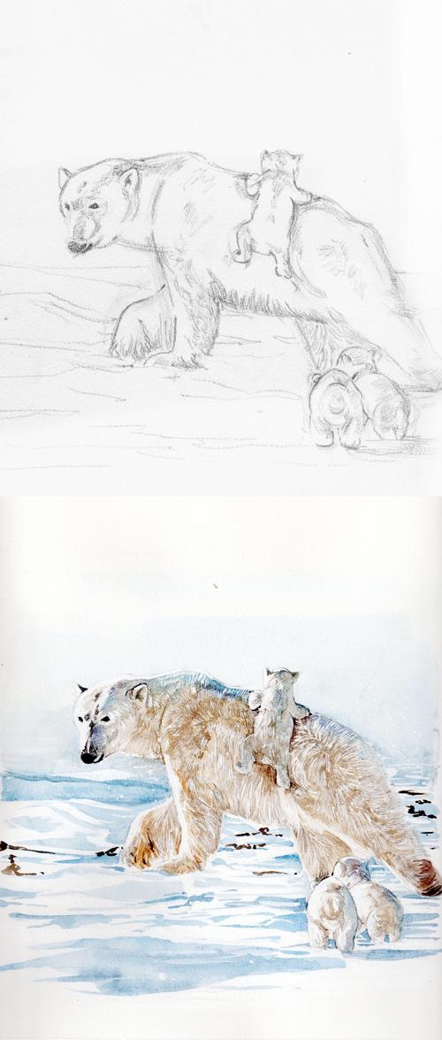 绘本《北极熊妈妈》