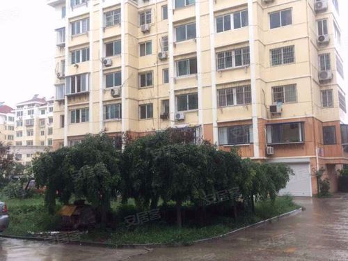阳光绿洲