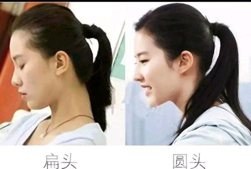 扁头圆头的对比