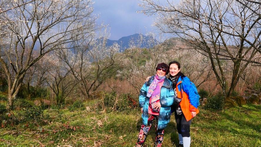 大邑鹤鸣山登山赏青梅花