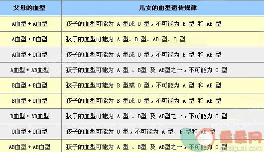 父母o型血和b型血生的宝宝是什么血型?