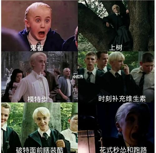 德拉科马尔福特长_娱乐_明星娱乐资讯