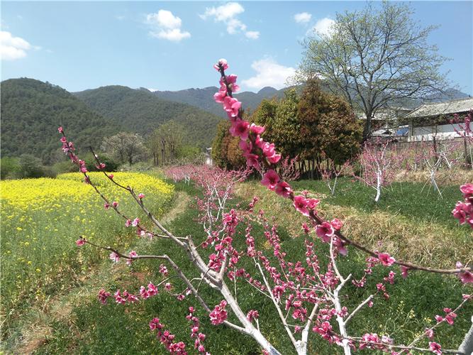 美景美丽乡村拉市海