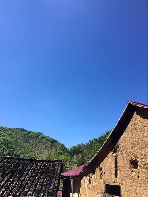 大坞村