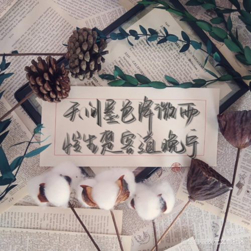 海棠微雨共归途_晚夜微雨问海棠二哈和他的白猫师尊燃晚板写我要上首